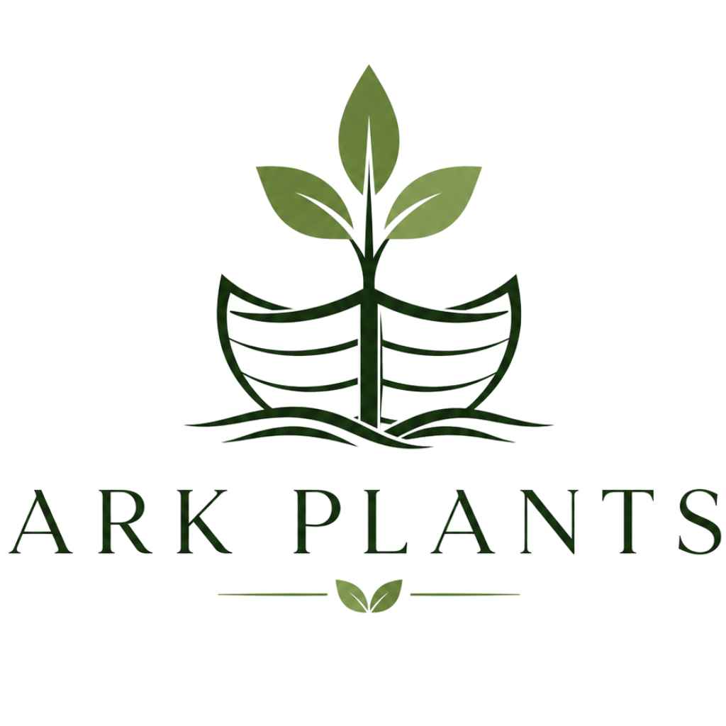 ARK plants tissue culture laboratory and propagation work