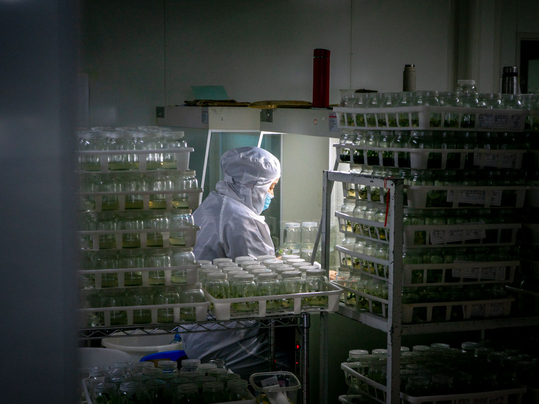 ARK plants facility video cover